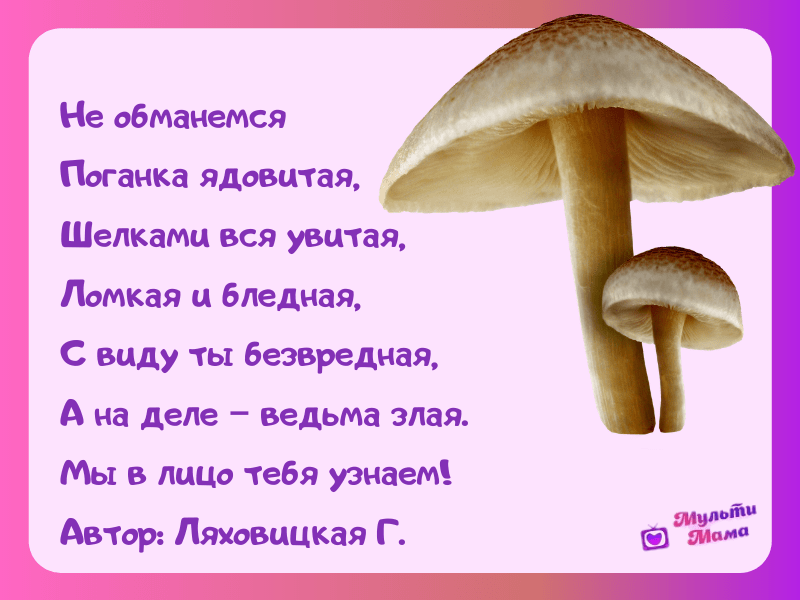 Стих грибы. Стихи про грибы. Стихи про грибы для детей. Стихи про грибы короткие. Маленький стишок про гриб.