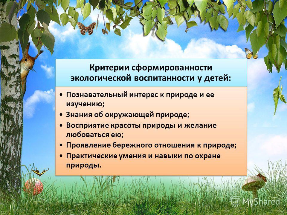 Природная программа. Критерии экологической воспитанности. Критерии и показатели экологического воспитания. Критерии сформированности экологической воспитанности. Критерии сформированности экологической воспитанности детей..