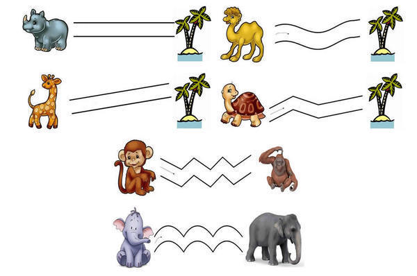 Игры на тему животные. Зоопарк задания для детей. Животные жарких стран задания для детей. Зоопарк задания для дошкольников. Животные жарких стран задания для дошкольников.