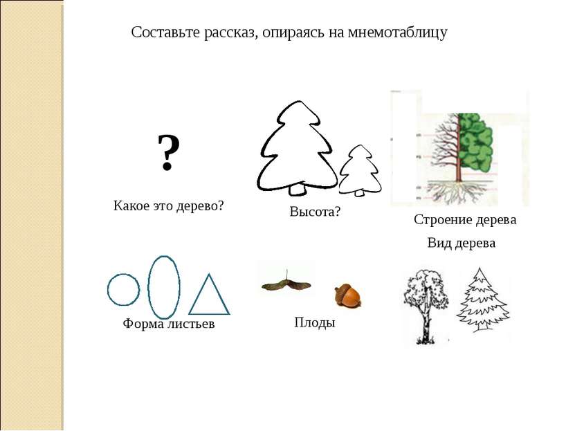 Расскажи дерево. Схема рассказа о деревьях для дошкольников. Схема описания дерева для дошкольников. Составление рассказа про дерево. Мнемотаблица деревья.