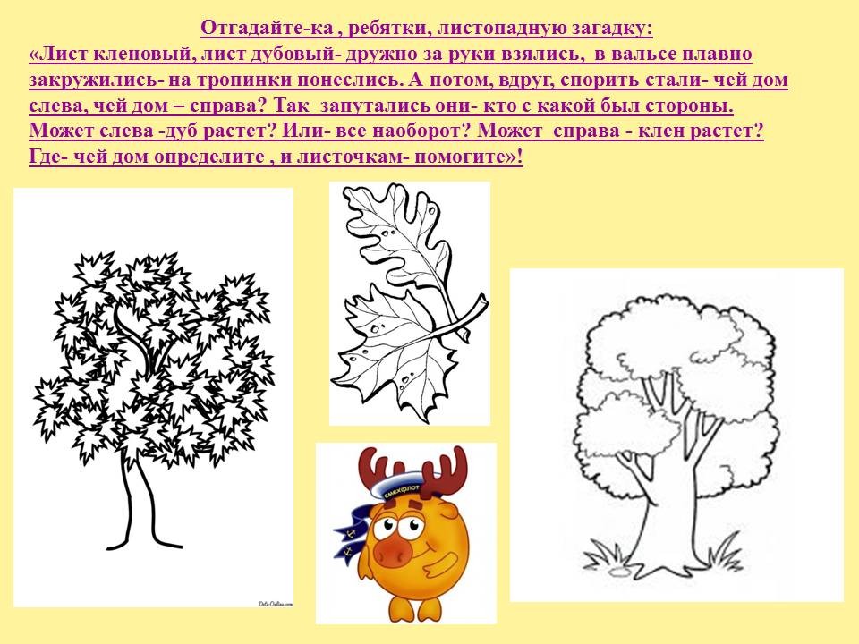 Листопад задание. Презентация с деревьев падают листья. Почему опадают листья осенью с деревьев для дошкольников. Облетают листья с деревьев для детей дошкольного возраста. Почему листья падают с деревьев осенью.