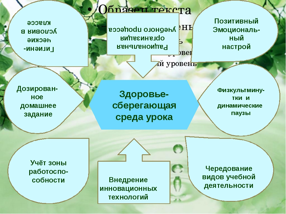 План образовательной программы касающейся вопросов здоровья