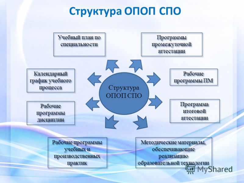 Образовательная программа комплекс. Структура основной образовательной программы СПО. Структура ОПОП СПО. Программы СПО. Структура ОПОП СПО по ФГОС.