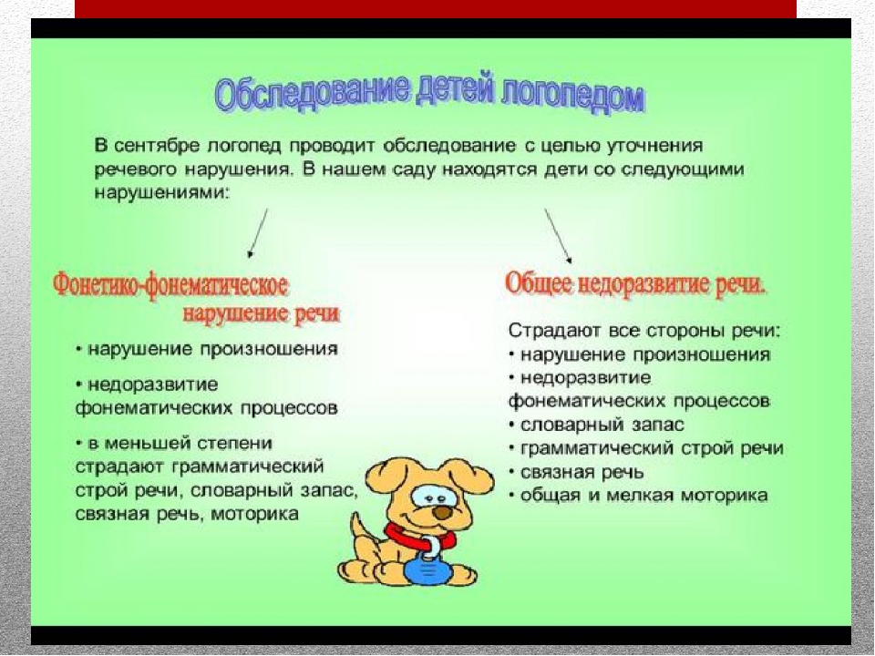 Деятельность логопеда. Логопед выступление. Логопедическая работа в ДОУ. Цель работы логопеда в ДОУ. Слайд логопедическая работа.