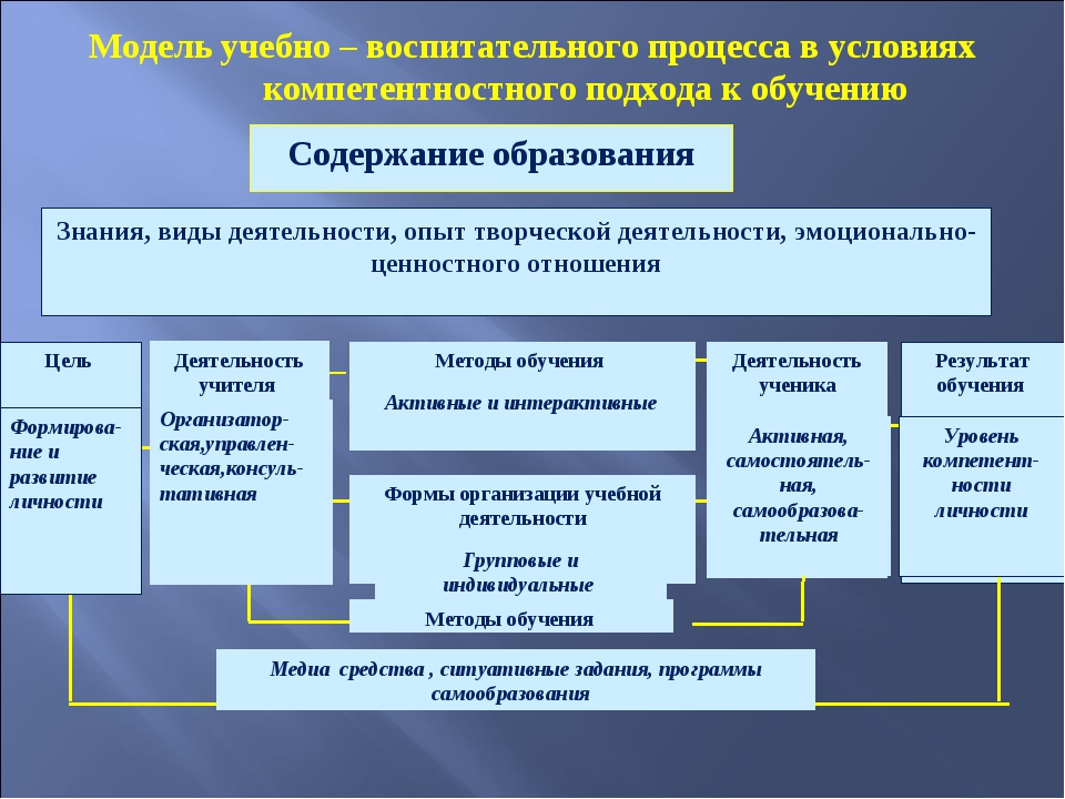 Преподаватель образовательной организации высшего образования. Модель образовательного процесса. Модель учебно-воспитательного процесса. Модель образовательного процесса в вузе. Модель организации образовательного процесса.